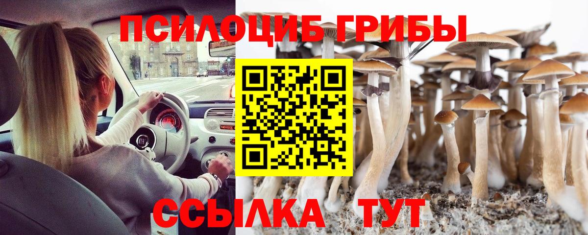 Псилоцибиновые грибы Magic Shrooms  Вход с VPN  Светлоград 