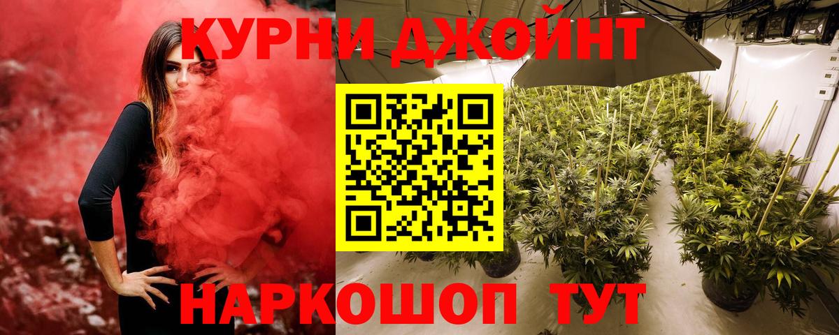 Марихуана марихуана Светлоград
